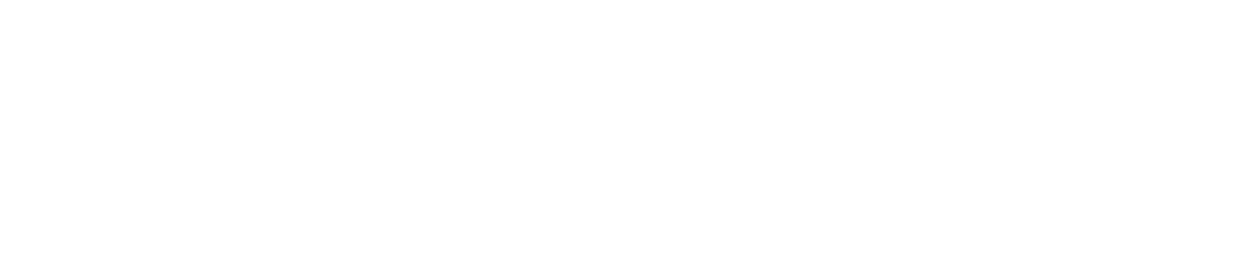 LOGO_SAFRAN_white